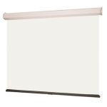 Luma 2 Wall Mounted Screen